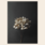 Still Life 04 (Hydrangea) By Pia Winther
