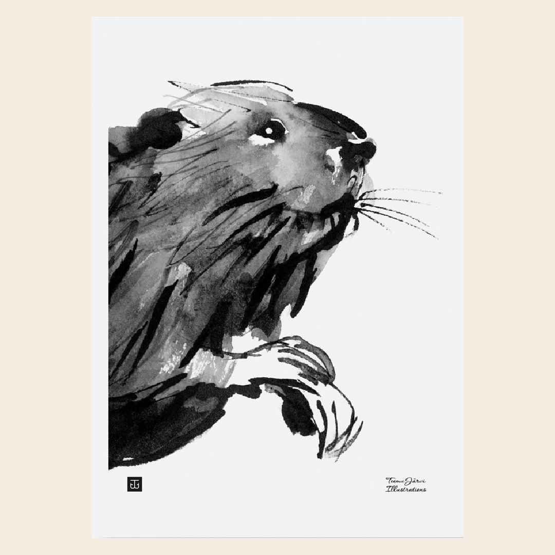 Teemu Järvi poster 'Curious Beaver' - 30 x 40cm