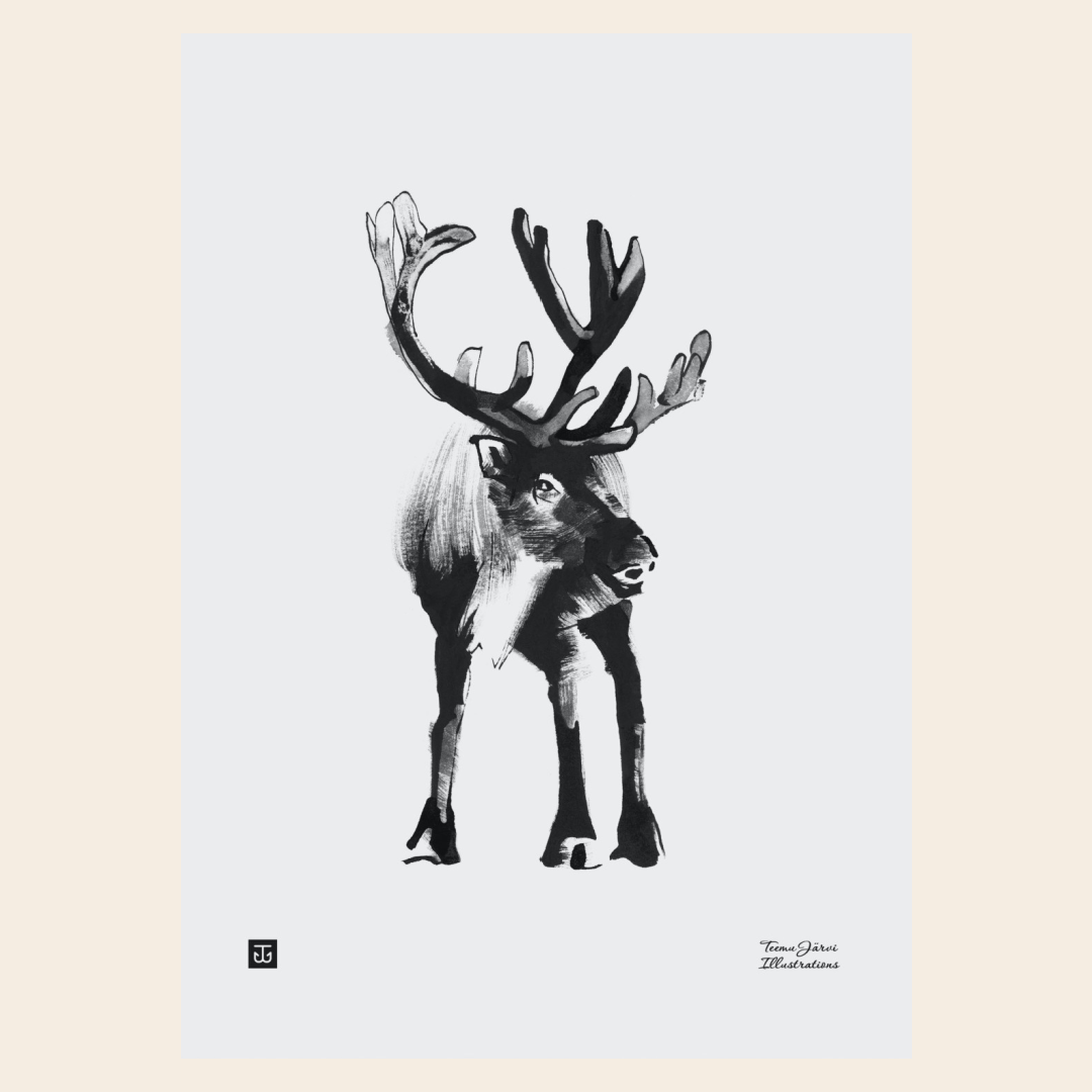 Teemu Järvi Poster 'Reindeer' 30x40 cm