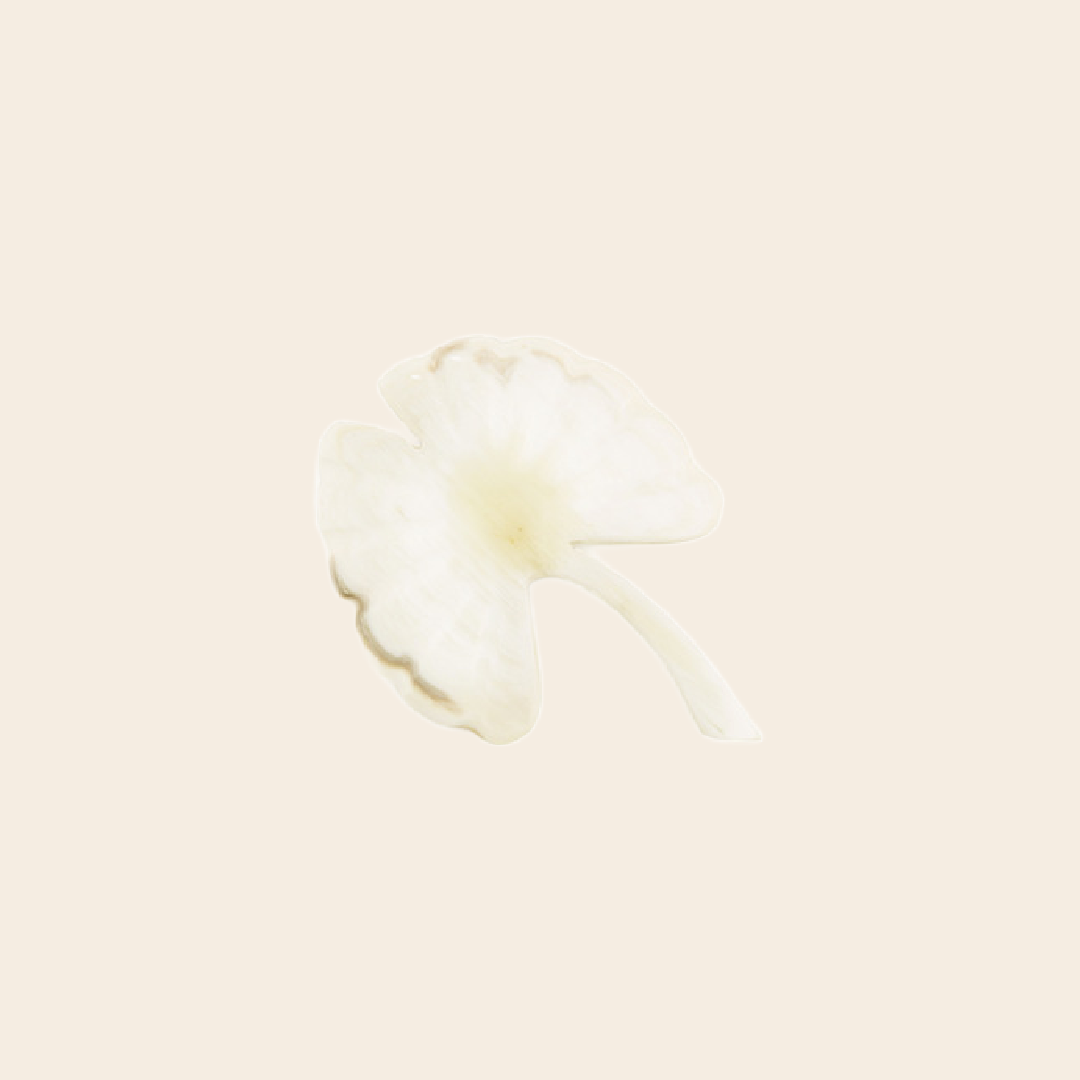 L'Indochineur broch 'Gingko' - horn