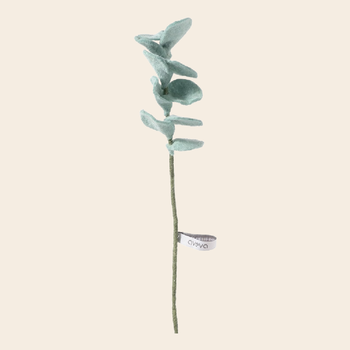 'Ecalyptus' - wool