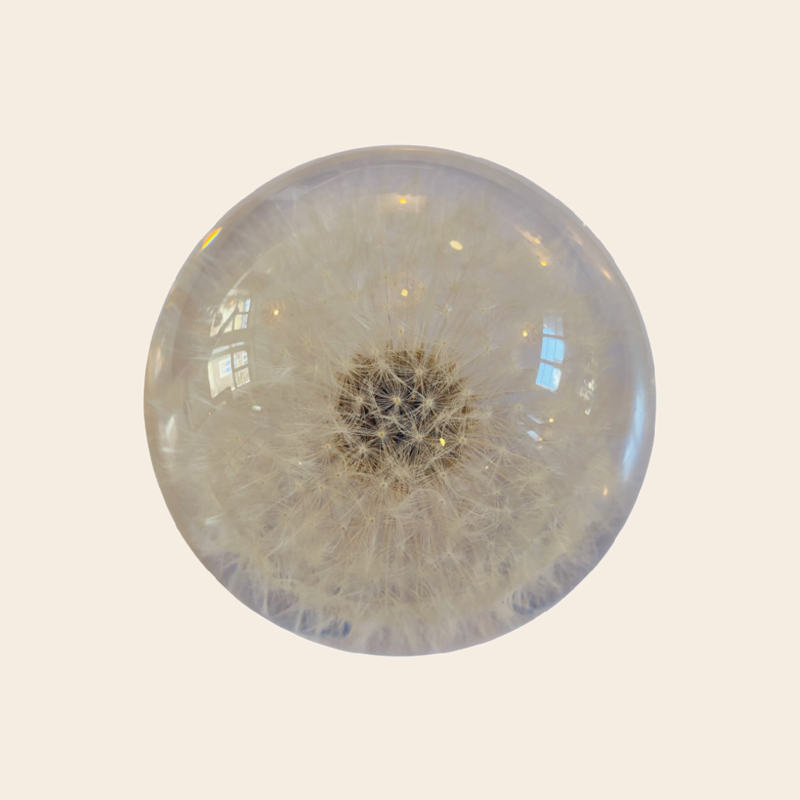 'Dandelion' paperweight
