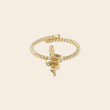 A Beautiful Story ring 'Honorable' - slang goud