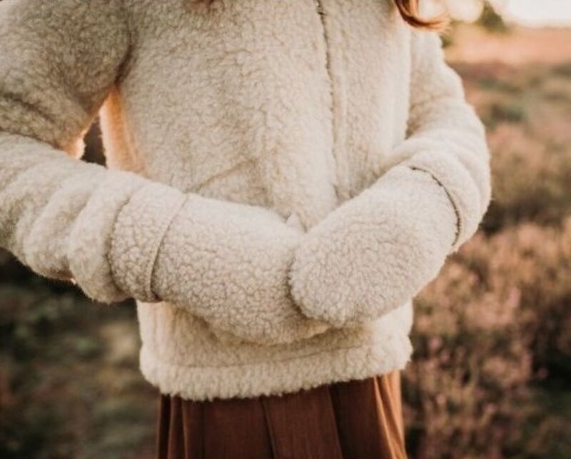 Alwero mittens 'Freeze' - wool