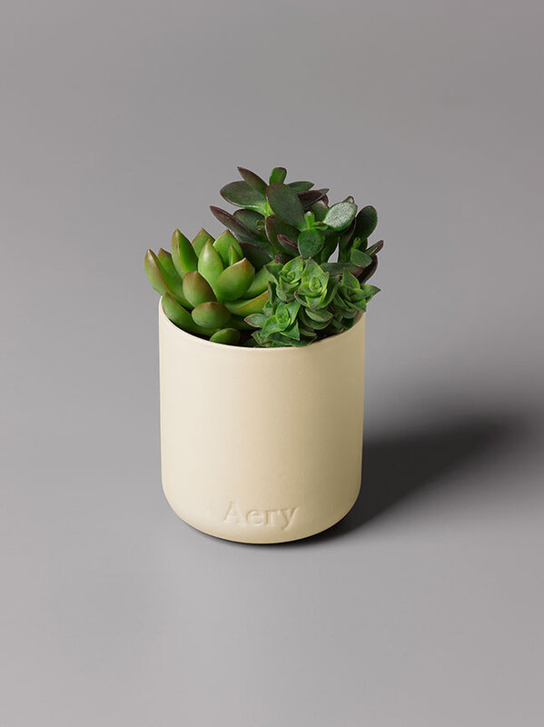 Aery living scented candle 'Himalayan Cedarleaf' S