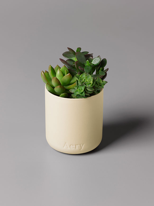 Aery living geurkaars 'Himalayan Cedarleaf' S