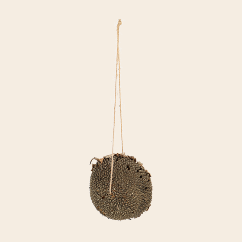 dryed sunflower