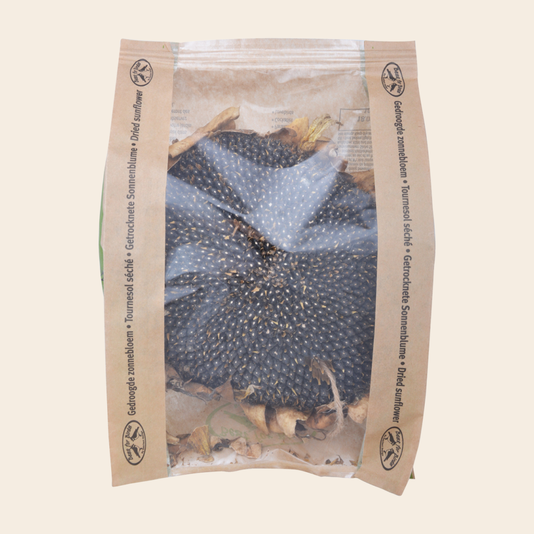 gedroogde zonnebloem