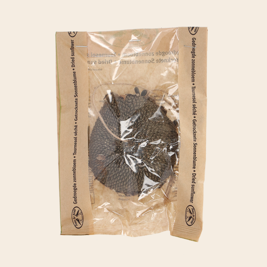 gedroogde zonnebloem