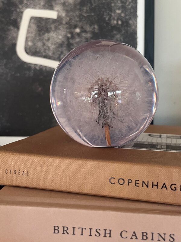 'Dandelion' paperweight