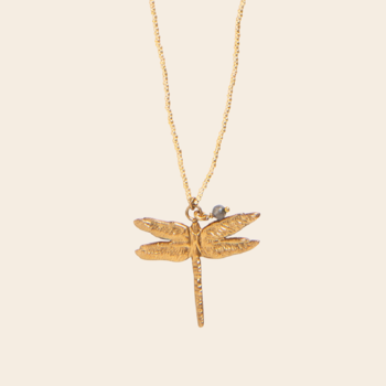 A Beautiful Story Copy of ketting 'Paradise' libelle -labradoriet zilver