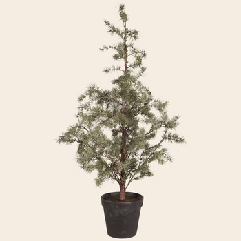 IBLaursen kerstboom 'Cedar' - 120cm