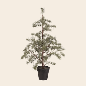 IBLaursen kerstboom 'Cedar' - 80cm