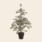 IBLaursen kerstboom 'Cedar' - 80cm