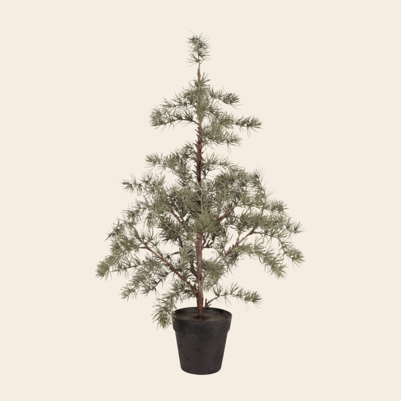 IBLaursen kerstboom 'Cedar' - 80cm