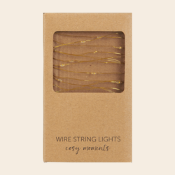 IBLaursen string lights - 40 outside