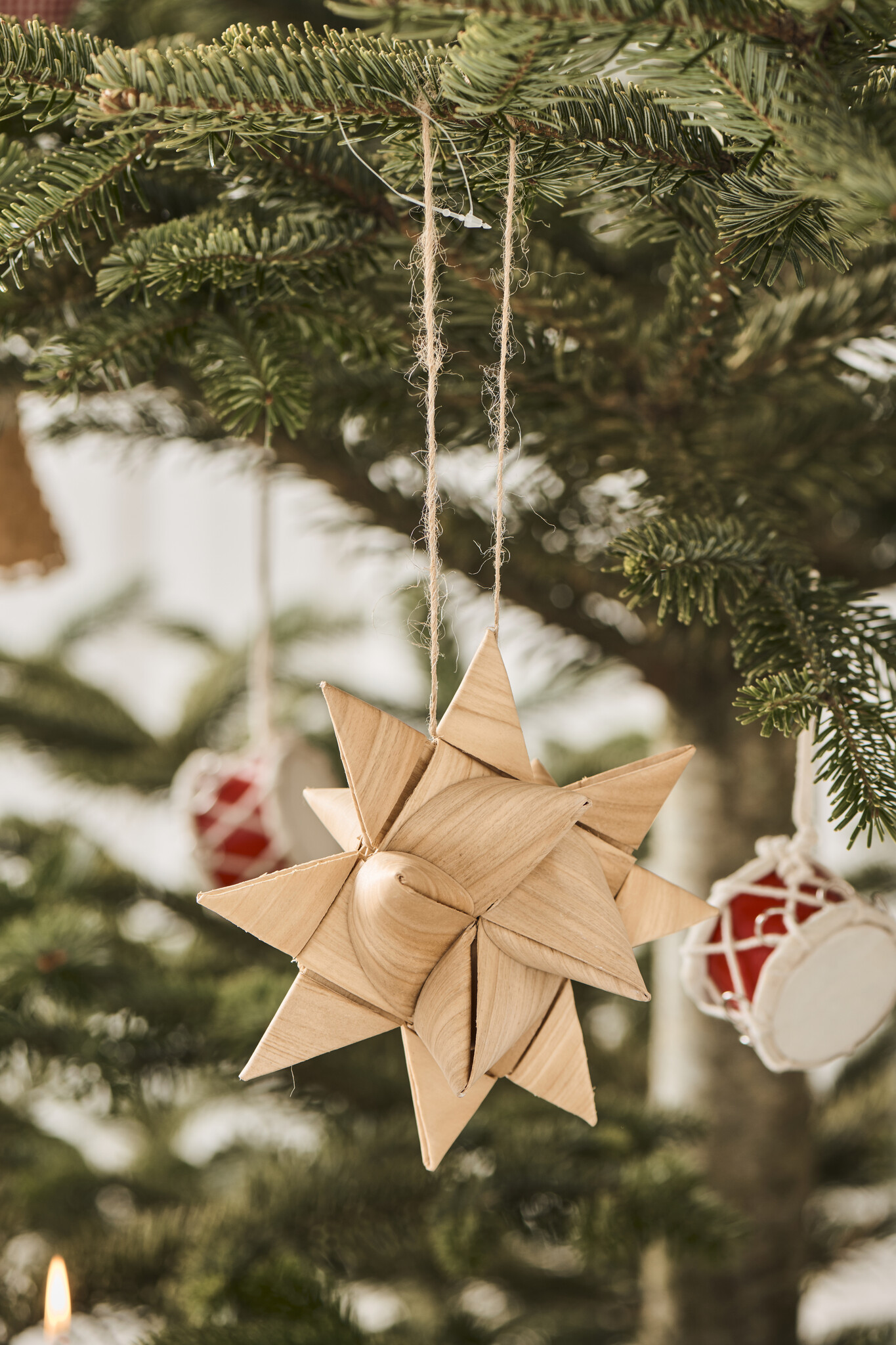 IBLaursen ster 'Chip'