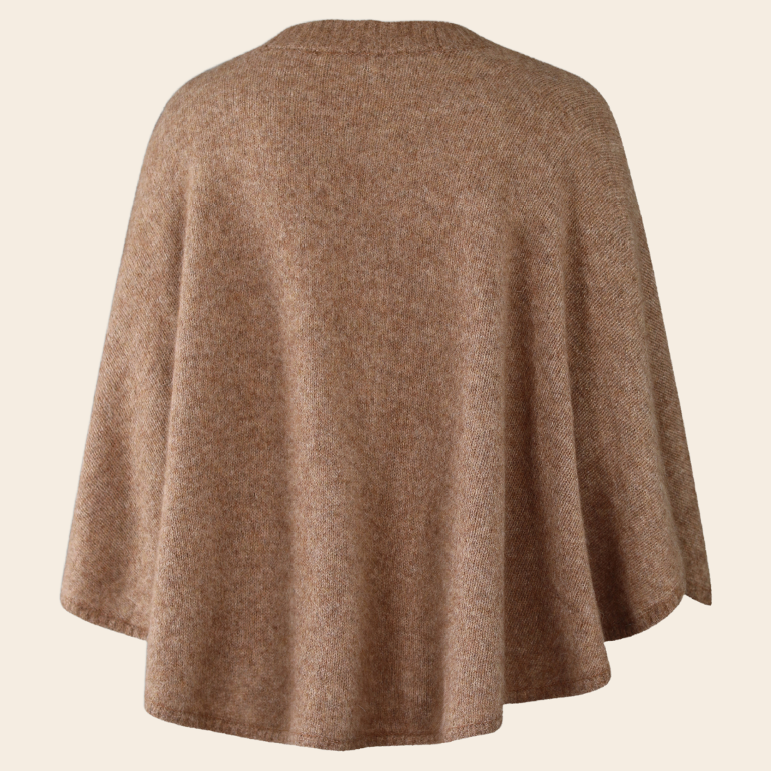 Six Ames shawl 'Sanne' raccoon - dachshund