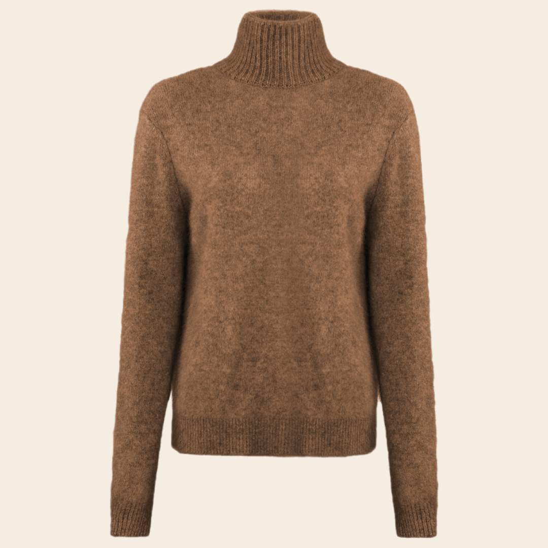 Six Ames coltrui 'Jade' raccoon - dachshund