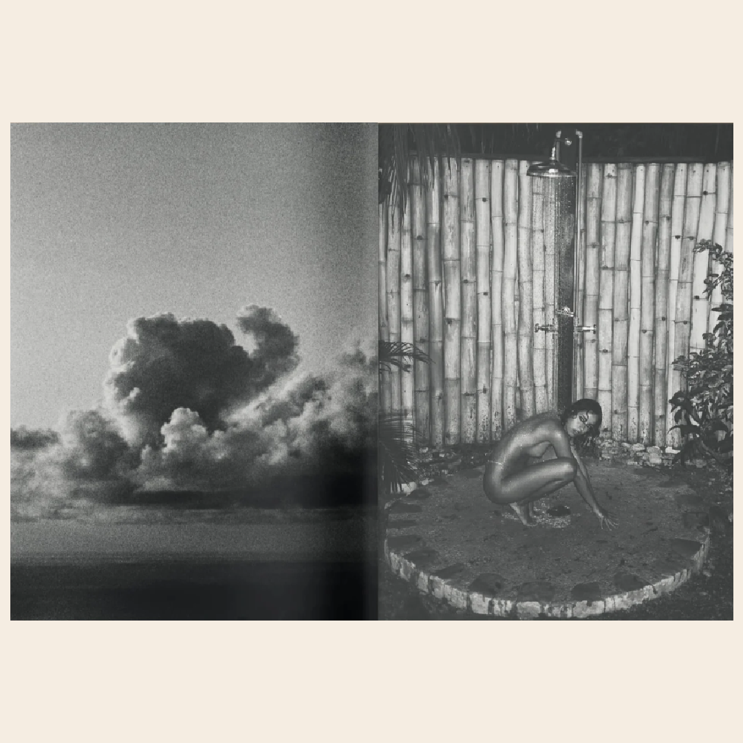 New Mags fotoboek 'La Selva' - Kate Bellm