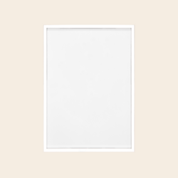 frame zilver - glas