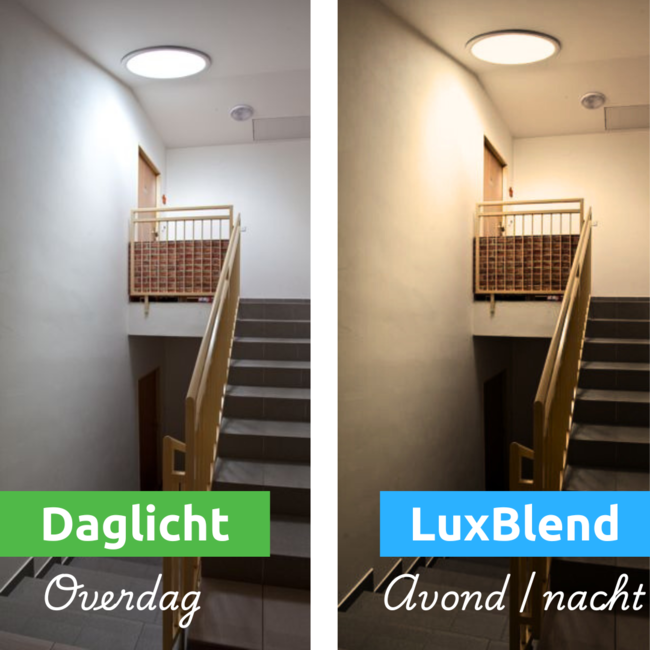 Intura SunTube Luxblend | Verlichtingsarmatuur met GU10 fitting