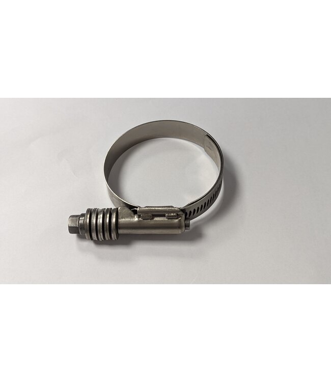 RVS Slangklem met veer 45-66mm