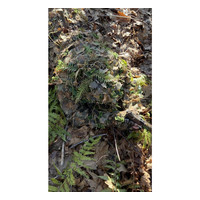 High Quality Artificial Ferns