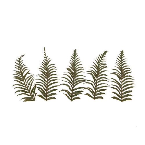 c4ssa_snipes High Quality Artificial Ferns