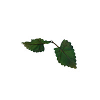 High Quality Artificial Double Nettle Leaves (Dark Green)