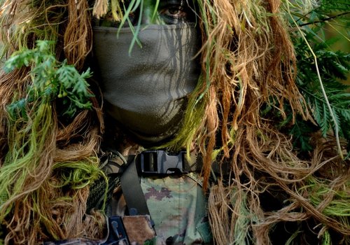 Camuflaje y Sigilo Camuflaje y Sigilo