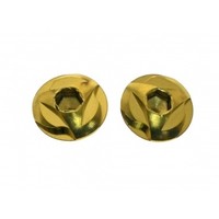 Stainless Steel Grip Screw - Gold