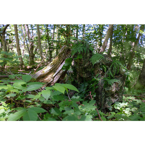 Ghosthood Ghost Hoodie Concamo Verde Ghosthood Ghost Hoodie Concamo Verde