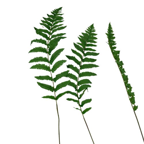 STALKER High Quality Artificial Long Silk Ferns (3-Pcs)