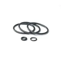 AAC-C1- O-Ring Set for Gas Power Chamber