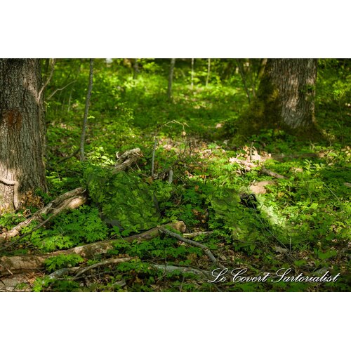 Le Covert Sartorialist Halo Screen Laser Cut Kit (Tropic)