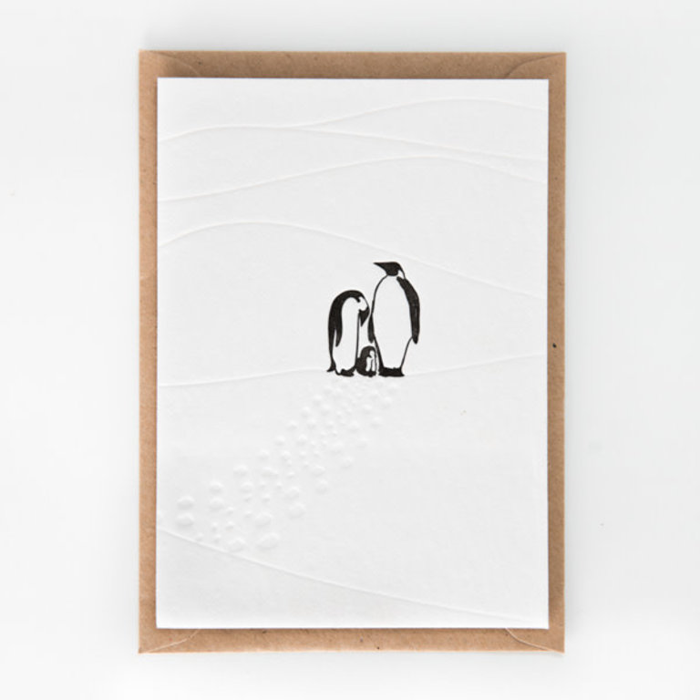 Studio Flash CARD - mountain pinguins