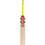 Gray-Nicolls Tempesta GEN 1.0 PLAYERS short handle