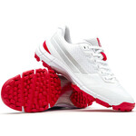 Gray-Nicolls Velocity 5.0 rubber soled shoes