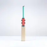Gray-Nicolls Ventus GEN 1.0 300 PP junior