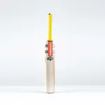 Gray-Nicolls HAVOC Warrior