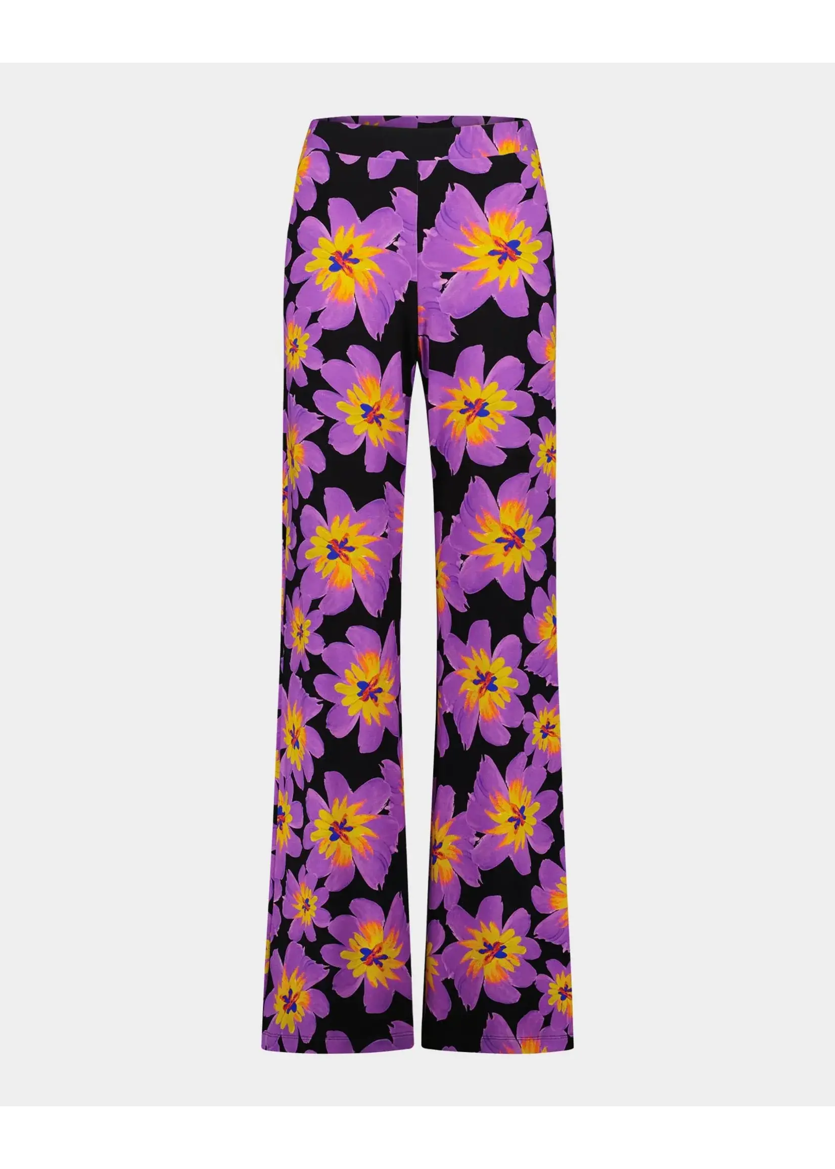 JJXX Josh Palazzos - Purple