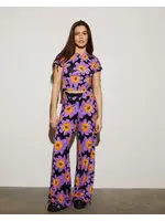 Josh Palazzos - Purple
