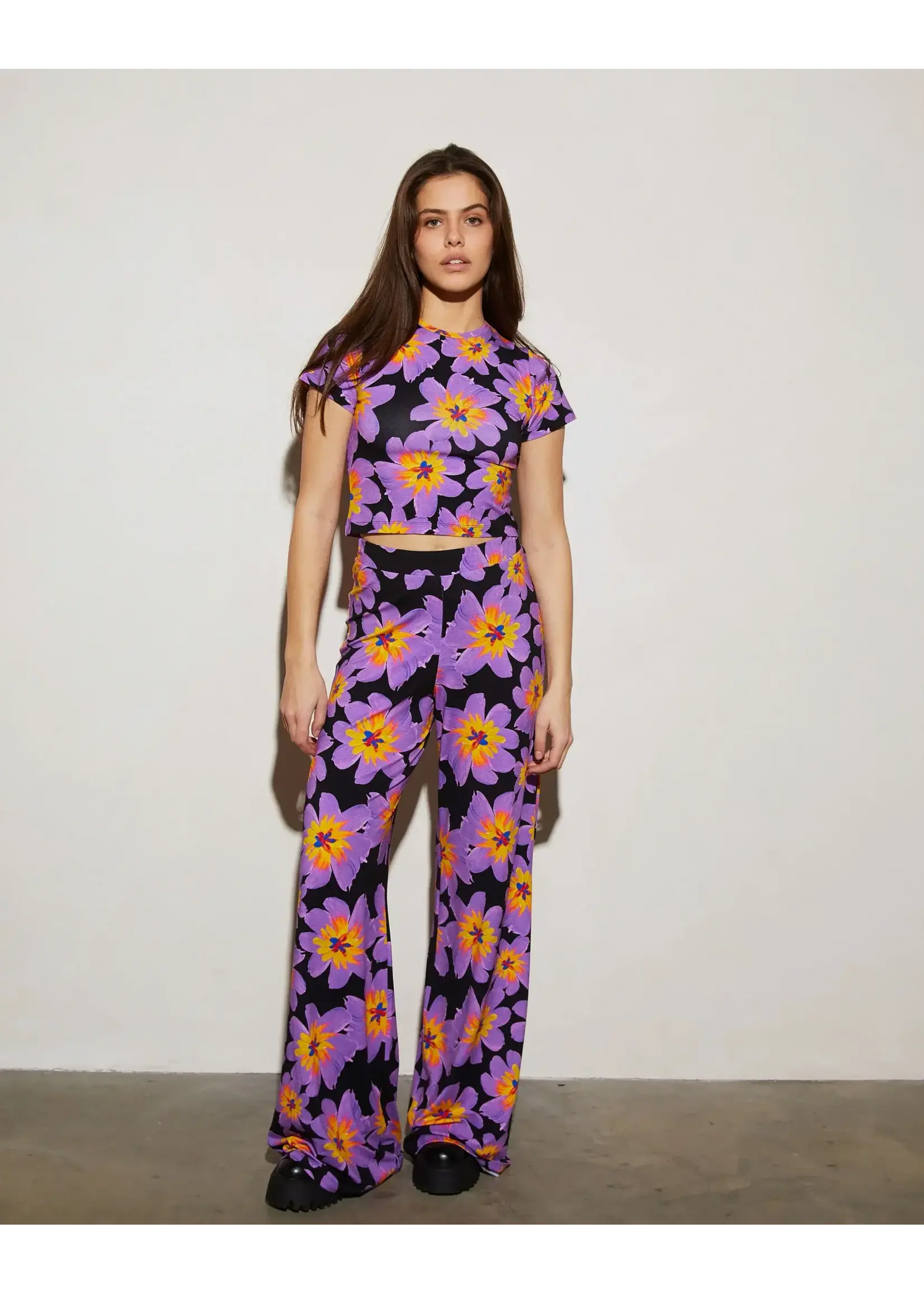 JJXX Josh Palazzos - Purple