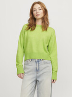 JXADINA crew neck knit Parrot Green