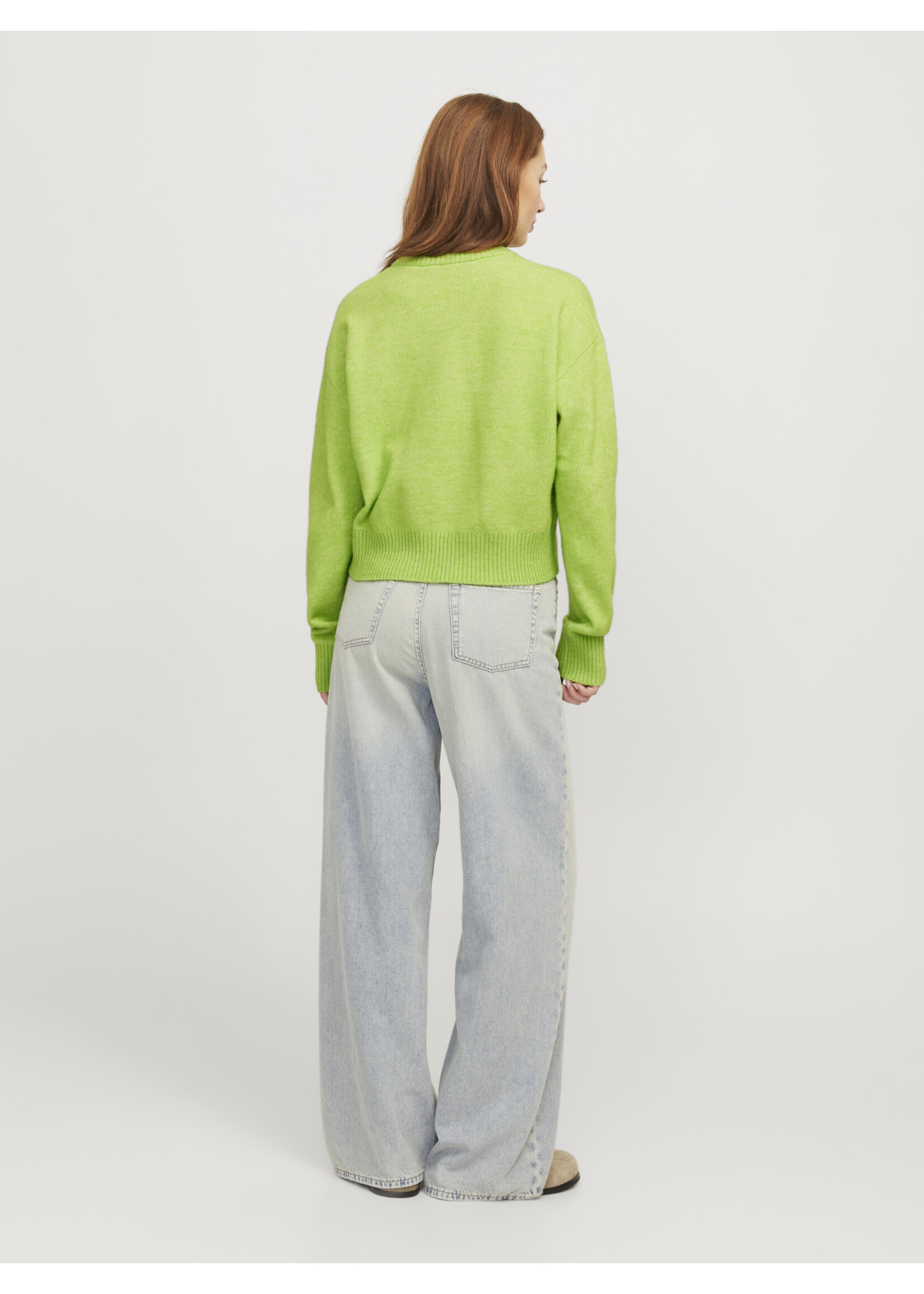JXADINA crew neck knit Parrot Green