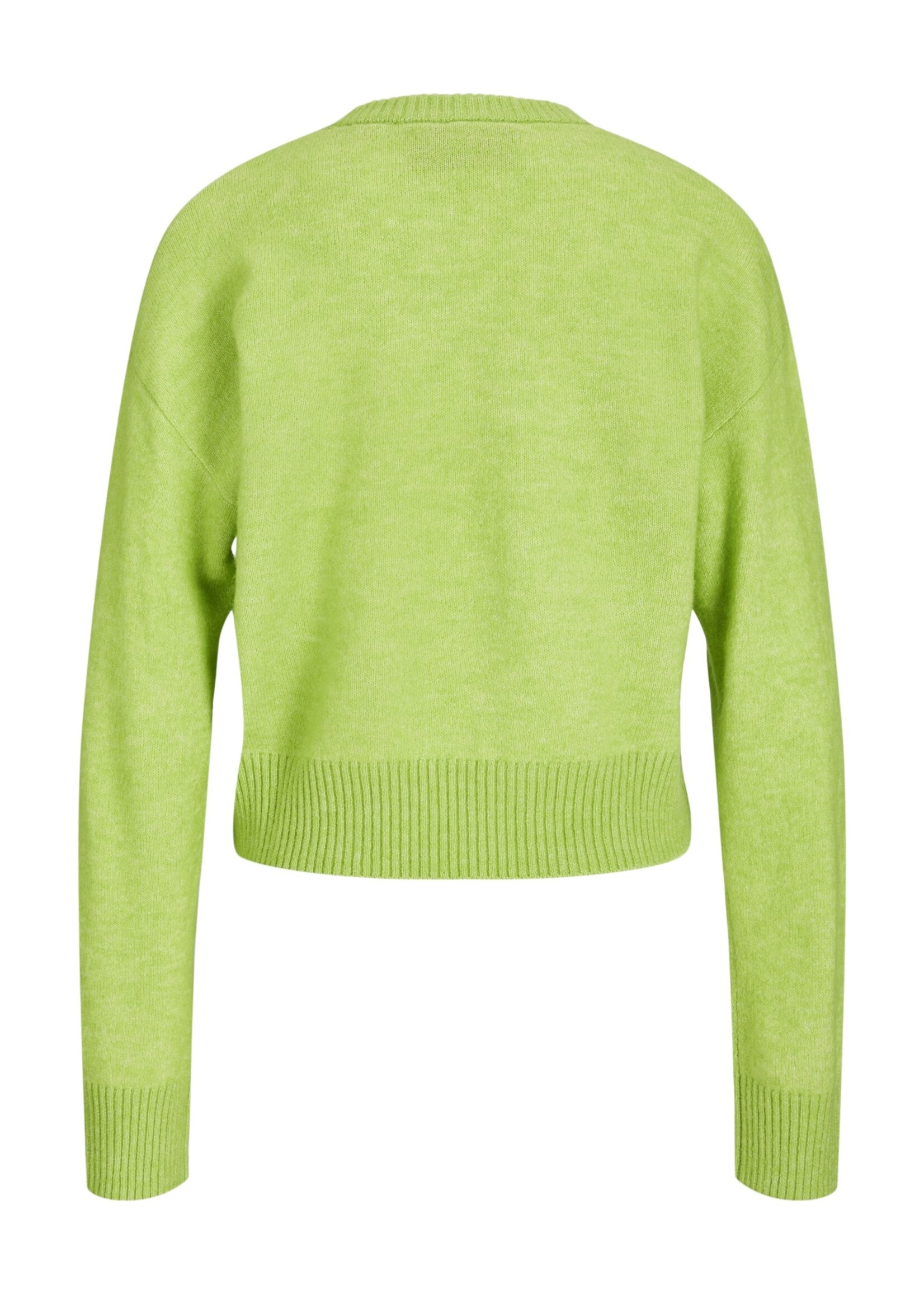 JXADINA crew neck knit Parrot Green