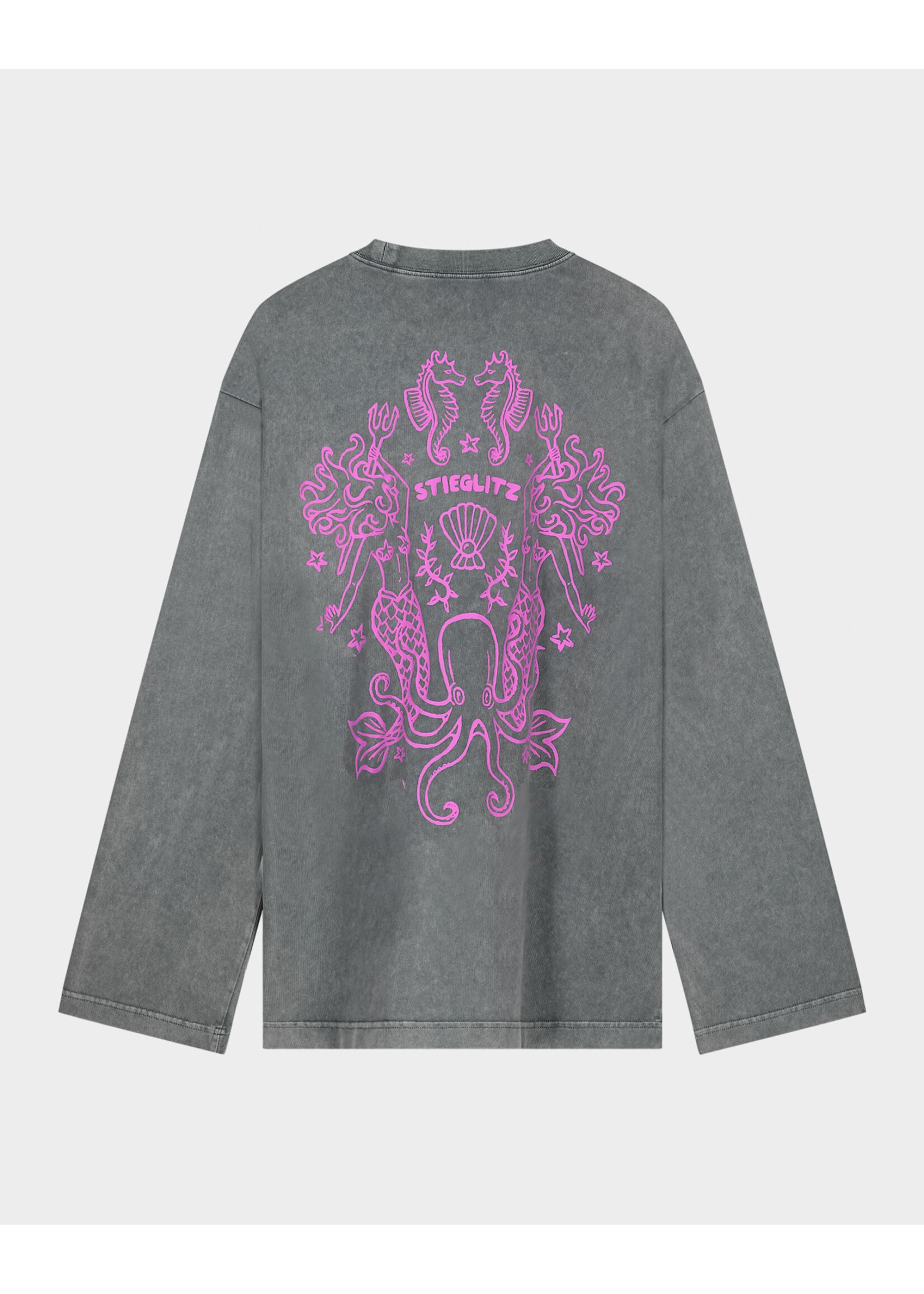 Stieglitz MYRIAM SKATE LONGSLEEVE GREY