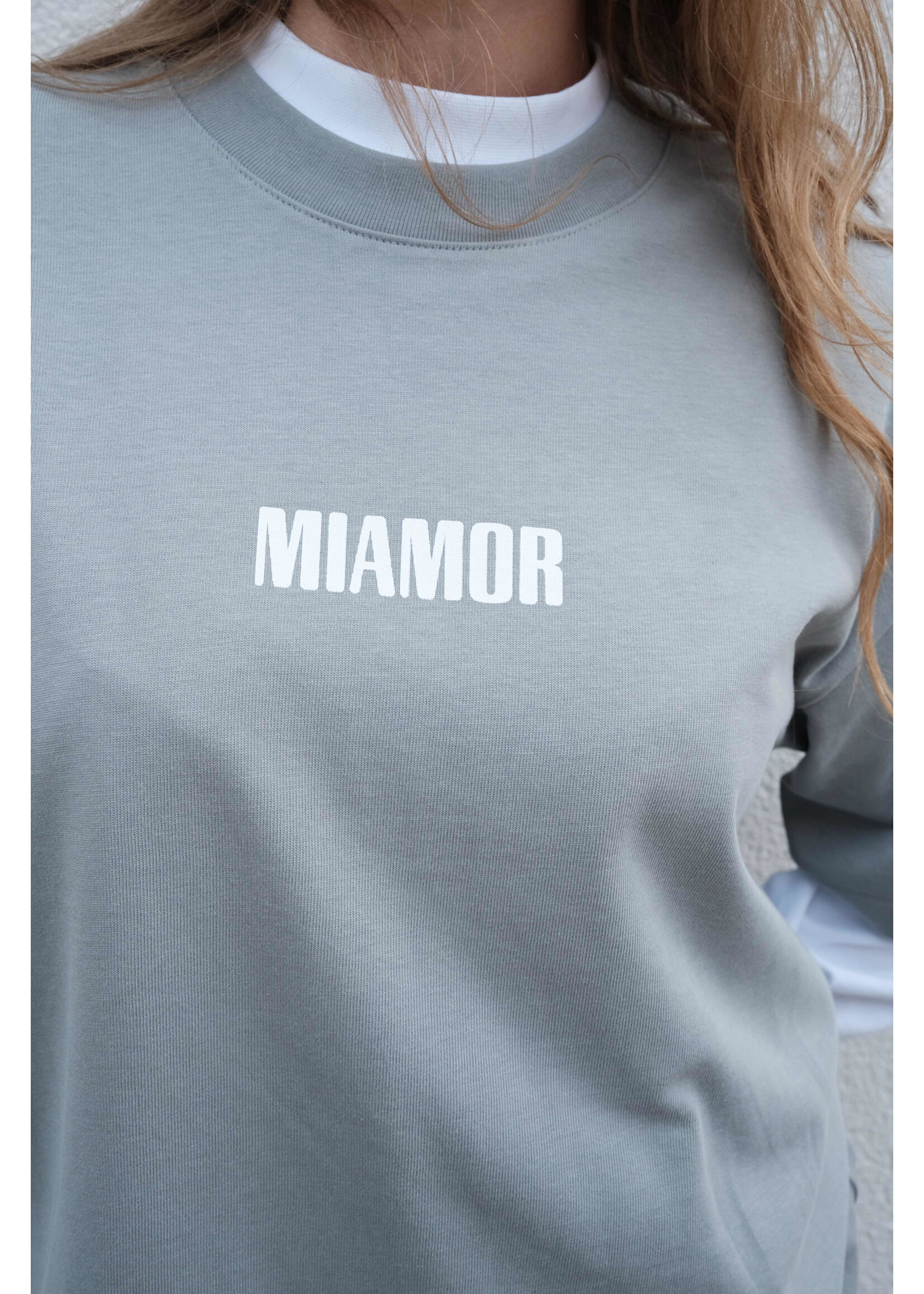 MIAMOR Miamor unisex super heavy tee - stone grey