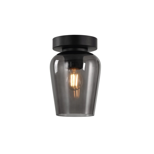 Artdelight Plafondlamp Tombo 12,5cm Rookglas